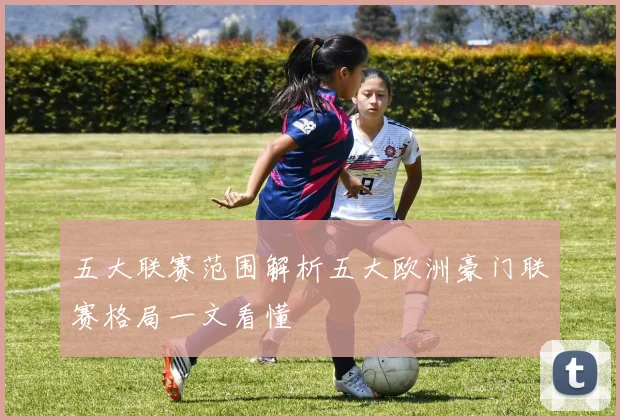 五大联赛范围解析五大欧洲豪门联赛格局一文看懂