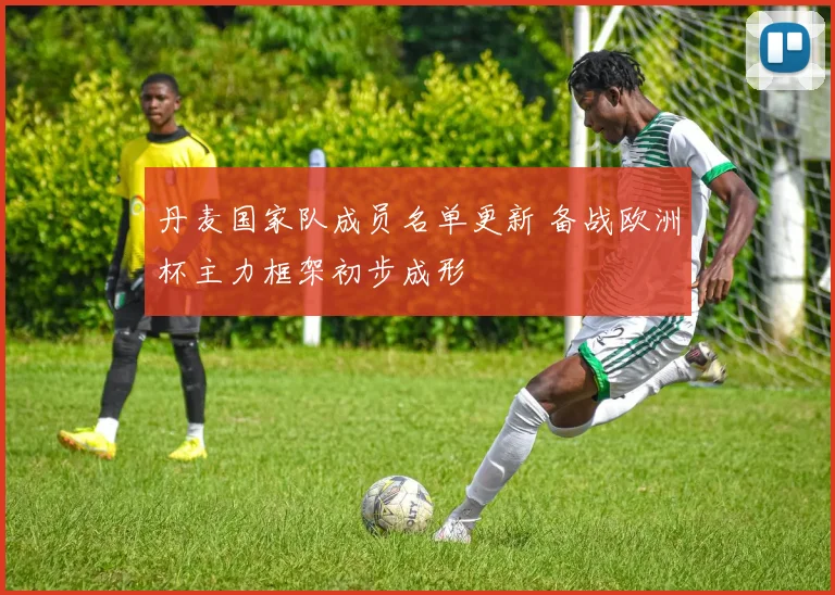丹麦国家队成员名单更新 备战欧洲杯主力框架初步成形