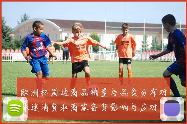 欧洲杯周边商品销量与品类分布对球迷消费和商家备货影响与应对