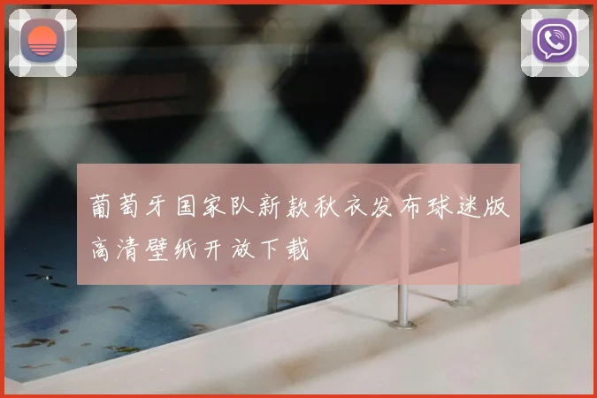 葡萄牙国家队新款秋衣发布球迷版高清壁纸开放下载
