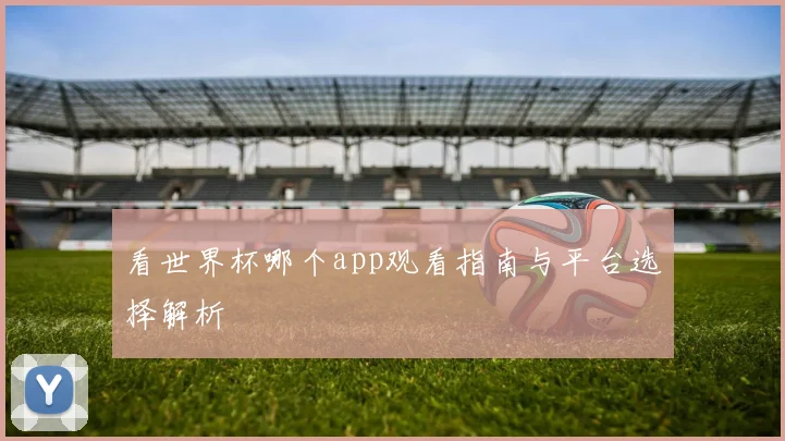 看世界杯哪个app观看指南与平台选择解析