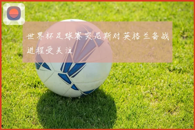 世界杯足球赛突尼斯对英格兰备战进程受关注