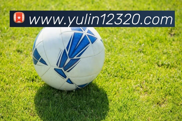 环球官方网站平台生态图