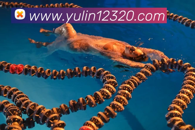 环球官方网站全站App